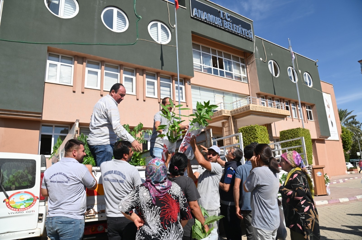 Anamur Belediyesi Dünya Kadın Çiftçiler Gününde Fidan Dağıtımı Gerçekleştirildi.