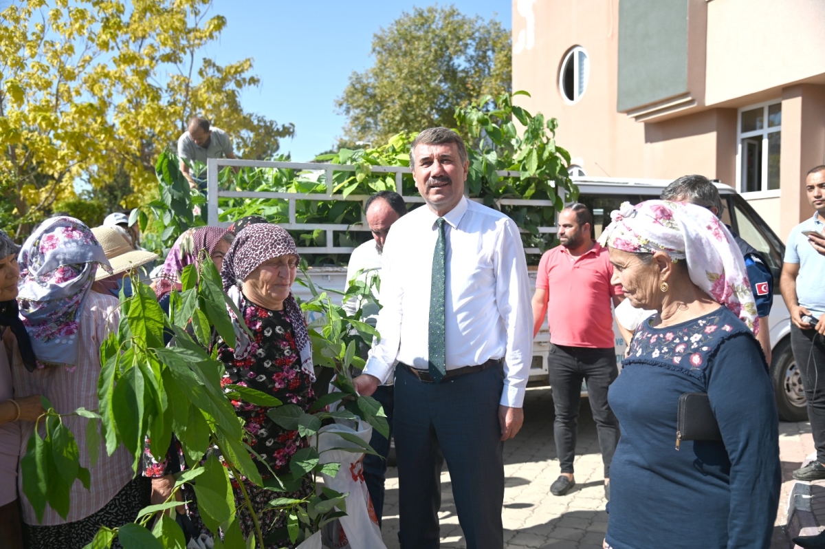 Anamur Belediyesi Dünya Kadın Çiftçiler Gününde Fidan Dağıtımı Gerçekleştirildi.