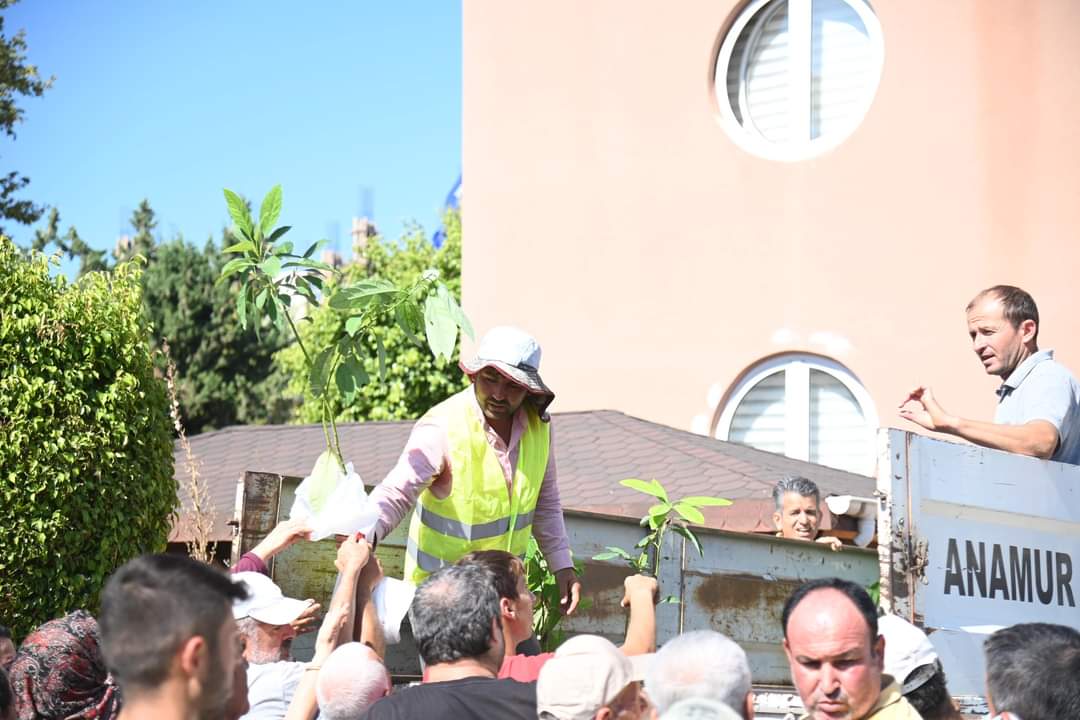 Anamur Belediyesi Kadın Çiftçilere Ücretsiz Avokado Fidanı Dağıttı