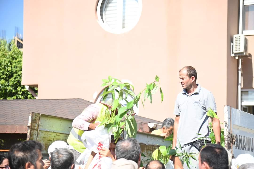 Anamur Belediyesi Kadın Çiftçilere Ücretsiz Avokado Fidanı Dağıttı