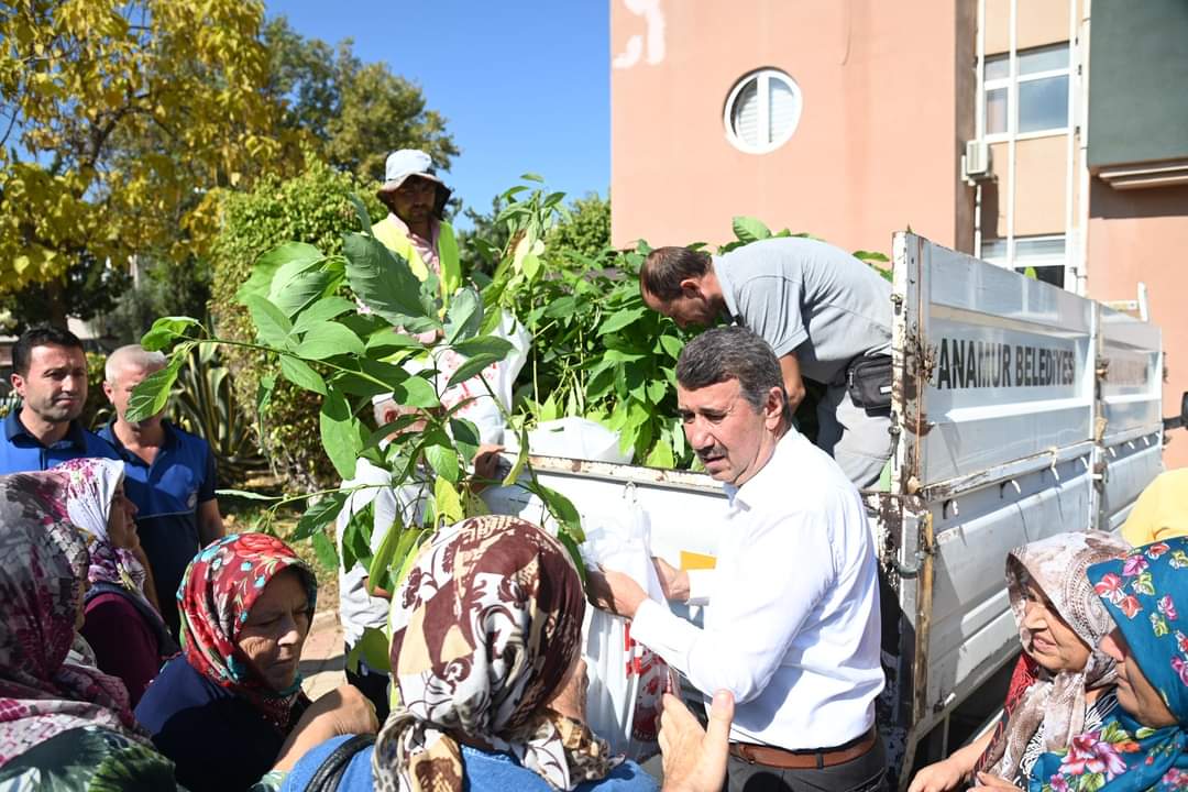 Anamur Belediyesi Kadın Çiftçilere Ücretsiz Avokado Fidanı Dağıttı