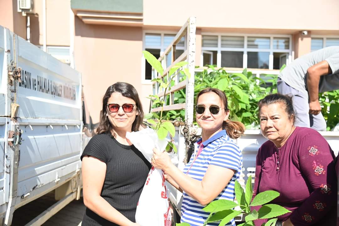 Anamur Belediyesi Kadın Çiftçilere Ücretsiz Avokado Fidanı Dağıttı