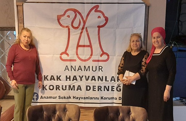 Geliri Sokak Hayvanlarına Kullanılmak Üzere Yemek Düzenlendi..