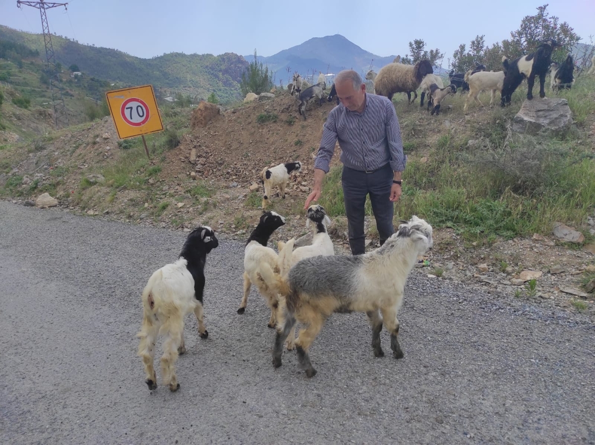 Başkan Deniz, Seçim Sonrası Teşekkür ziyaretlerine Devam Ediyor..