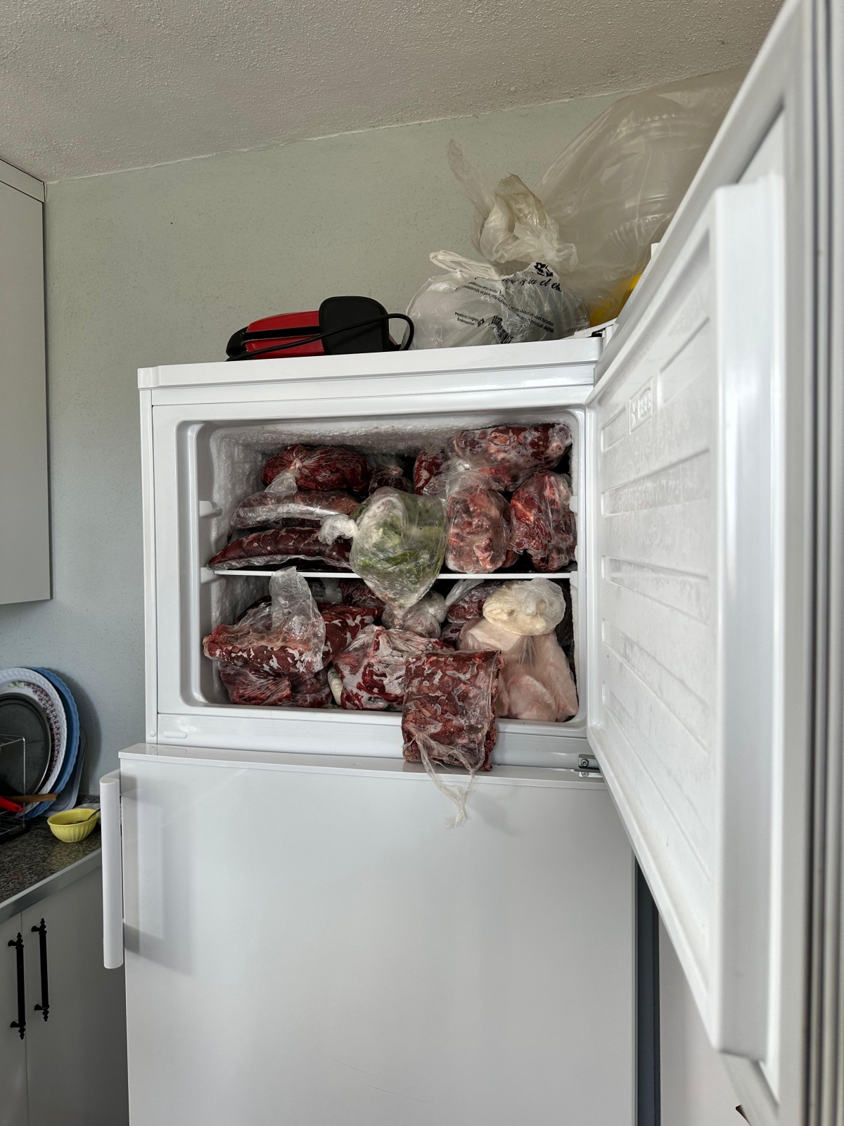 Dağ keçisi avcısına rekor ceza