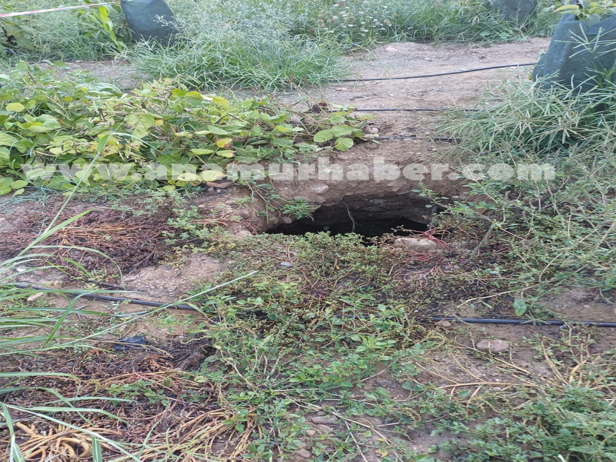 Anamur’da Avokado Tarlasında Obruk Korkuttu: Çiftçi Çukura Düştü
