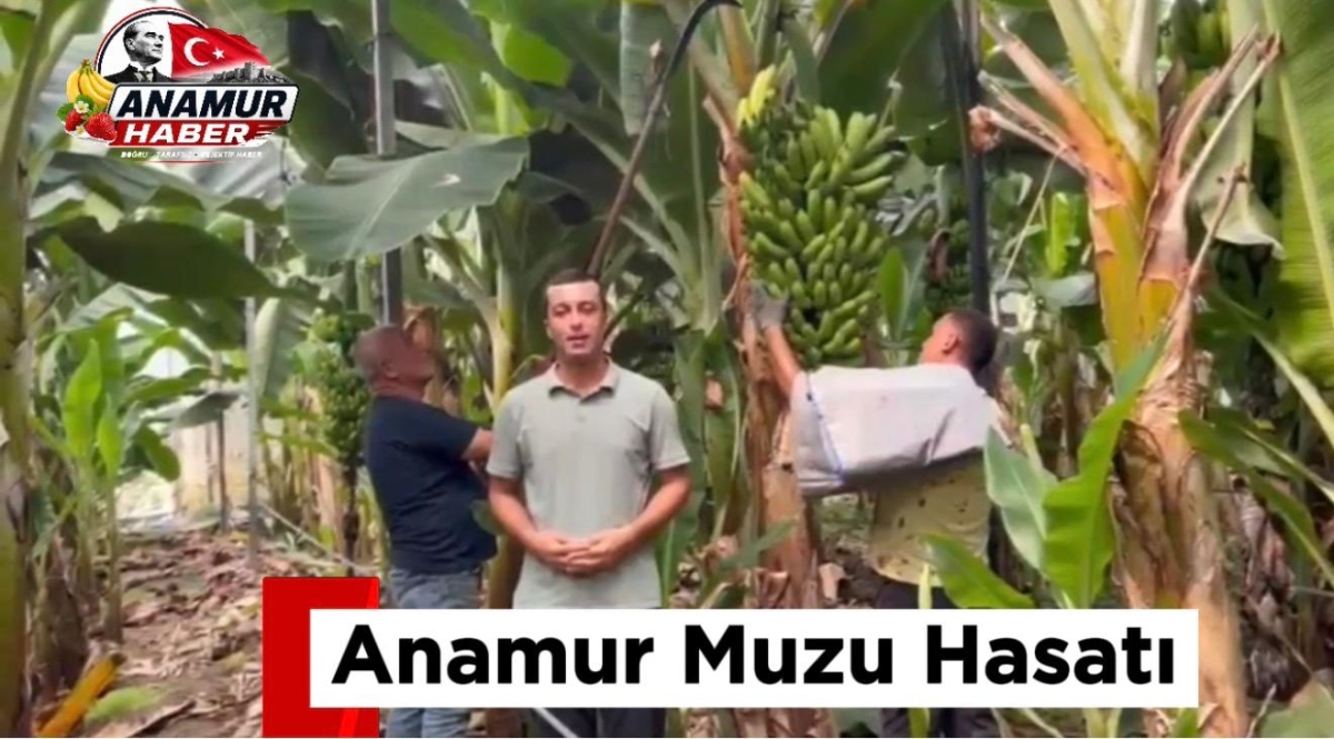 Yerli Muz mu? İthal Muz mu?