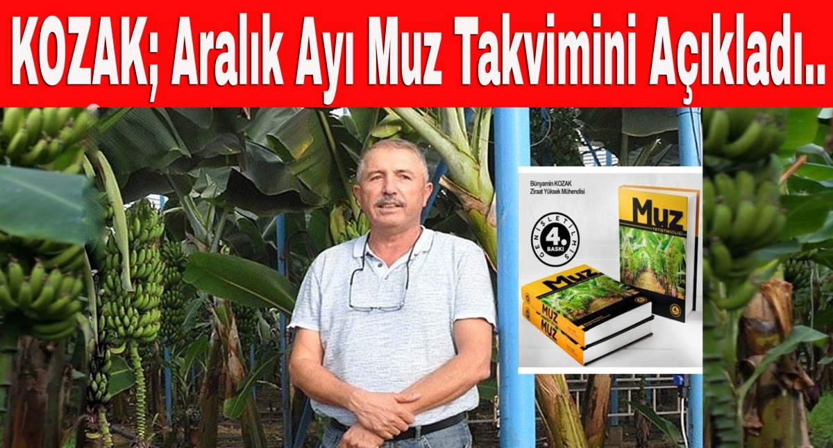 Ziraat Yüksek Mühendisi Bünyamin Kozak Aralık Ayı Muz Takvimini Açıkladı..