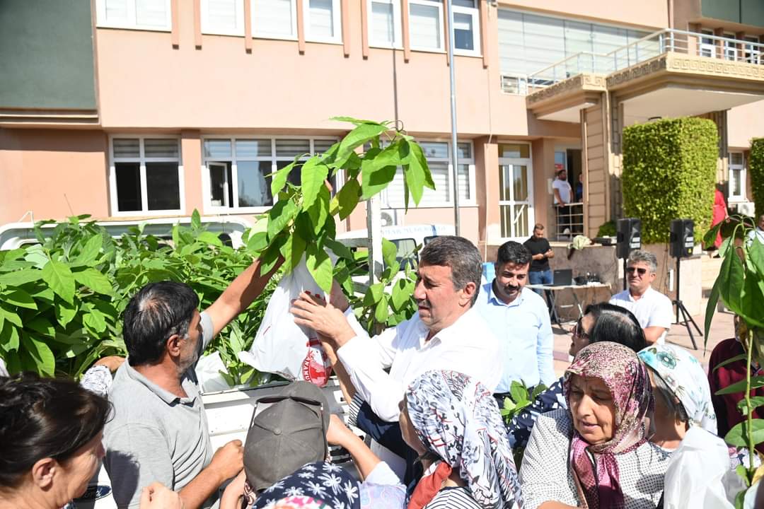 Anamur Belediyesi Kadın Çiftçilere Ücretsiz Avokado Fidanı Dağıttı