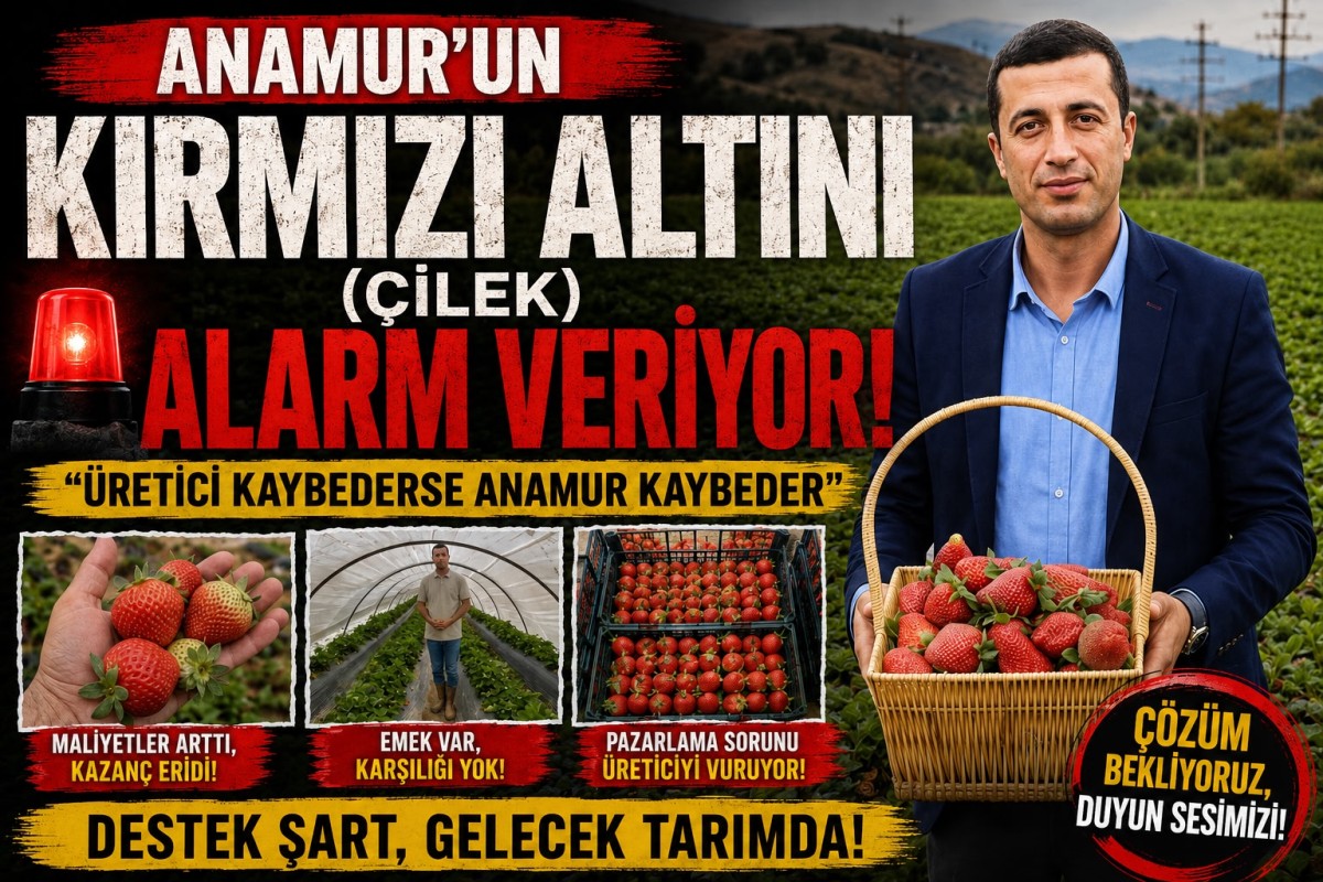 Anamur’un Kırmızı Altını (Çilek) Alarm Veriyor.!