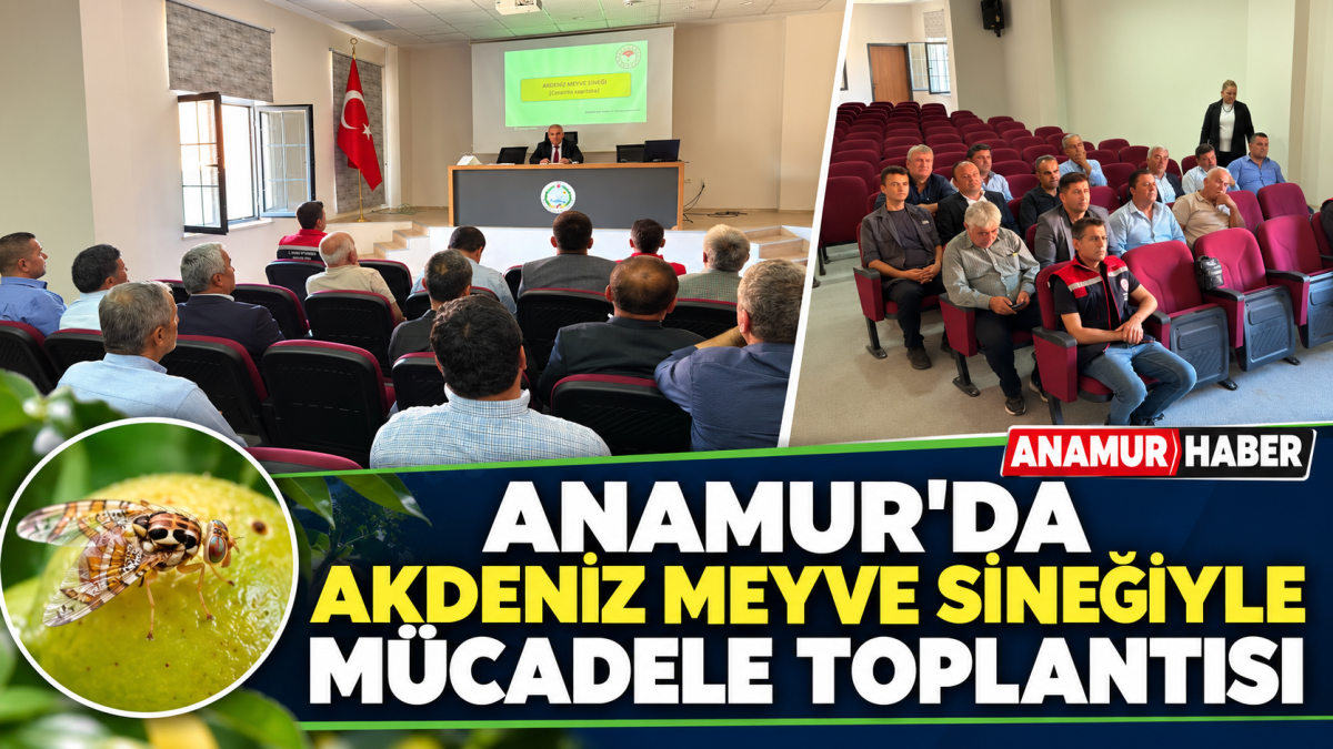 Anamur’da Akdeniz Meyve Sineğiyle Mücadele Toplantısı Düzenlendi..